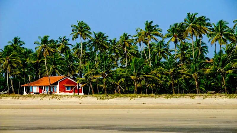 Beach Hopping