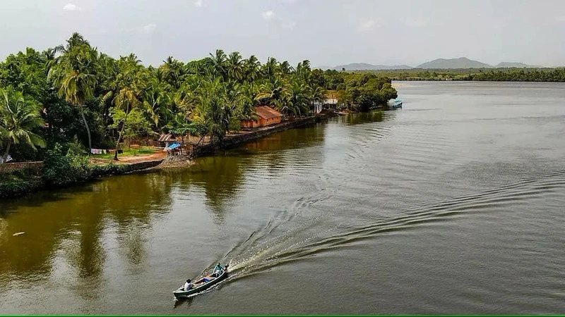 Cumbarjua Backwater Canal