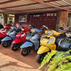 Everything You Need to Know About Renting a Bike in Goa