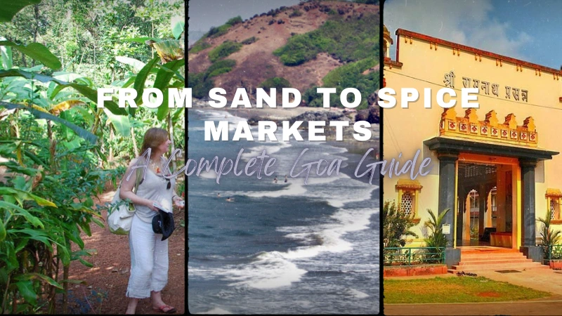 From Sand to Spice Markets: A Complete Goa Guide