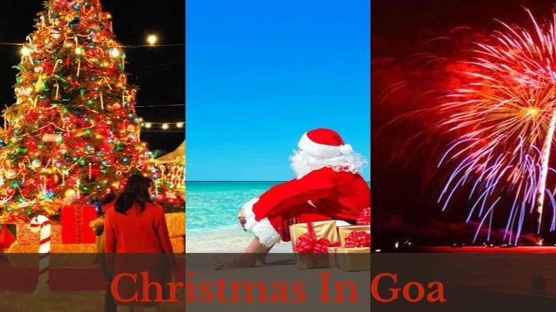 Reasons to celebrate Christmas in Goa in 2024